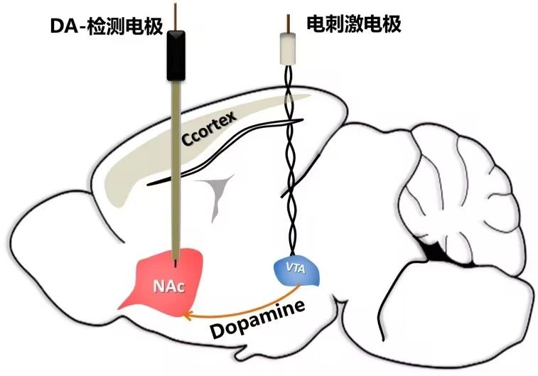 202504226785.jpg 微信图片_20250422095758.jpg